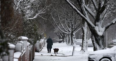Greater Manchester's latest weather forecast after heavy snow hits region