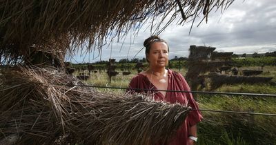 Unlikely heroes: the grey nomads helping Hunter farmers rebuild their lives