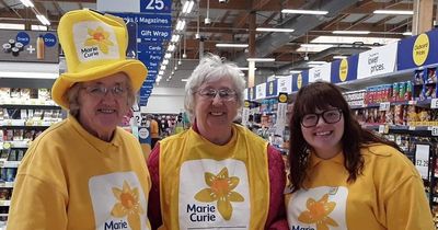 Dumfries goes daffodil crazy to support Marie Curie