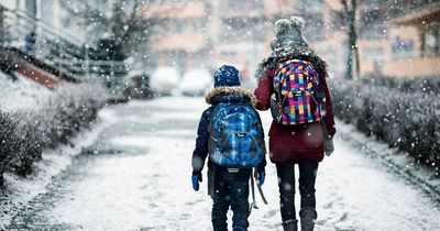 Ireland school closures update as Department of Education issues statement amid major snow disruption