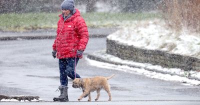 List of schools closed across Merseyside as snow continues to fall