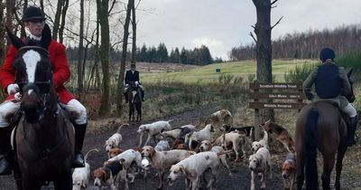 Controversial Lanarkshire and Renfrewshire fox hunting club ceases after 252 years