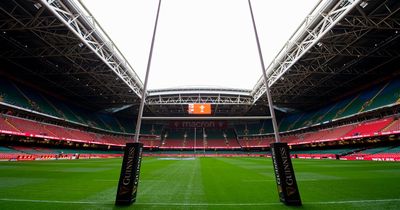 Headhunters appointed to find new chief executive of the Welsh Rugby Union