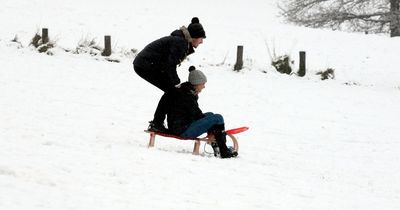 Leeds' best sledging spots as heavy snow shuts schools across the city