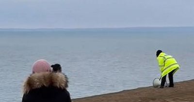 The moment a loud siren warns people they've left it too late and are stranded by the tide on Worm's Head in Rhossili