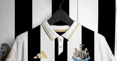 Newcastle United supporters split on picture of rumoured design of next season's kit