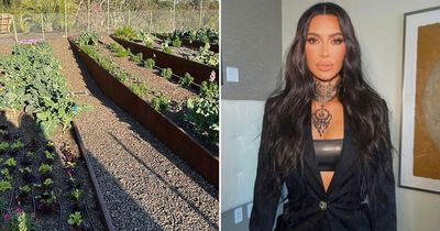 Kim Kardashian grows her own superfood crop with impressive orchard and leafy greens