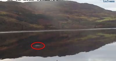 Loch Ness Monster 'not alone' as bombshell footage suggests there may be TWO creatures