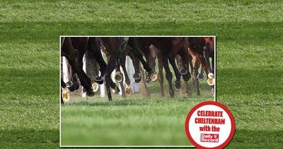 Pick a winner with your favourite newspaper this Cheltenham Festival