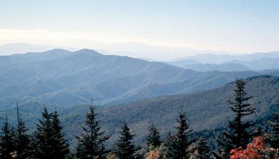 Bear of a time expanding thinking, experience and life on the Appalachian Trail