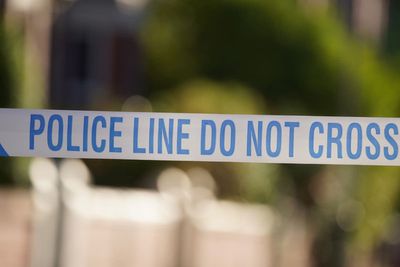 Woman and two boys found dead inside London house