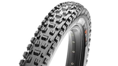 Maxxis Now Offers Some Of Its MTB Tires With E50 E-Bike-Specific Rating