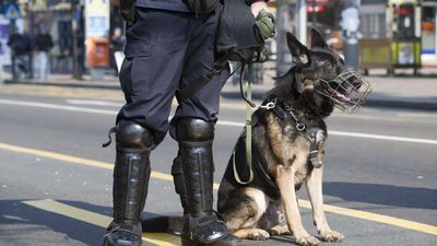 California's K9 Reform Bill Is Barking Up the Wrong Tree