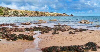 The Scottish Borders beach that is perfect for a wintry walk on weekends