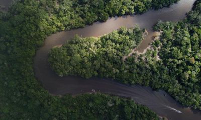 As carbon offsetting faces ‘credibility revolution’, shoppers should be wary