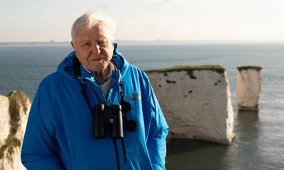 The truth about Britain’s wildlife crisis is stark: the timid BBC must let David Attenborough tell it loud and clear