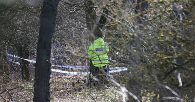 What we know so far as potential 'human bones' are discovered in Morpeth