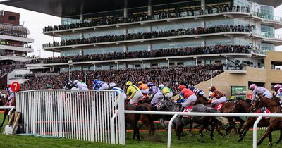 Cheltenham Festival 2023 tips: Five to follow at this year’s Festival