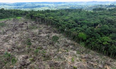 Record deforestation in Brazil’s Amazon rainforest shows challenge facing Lula