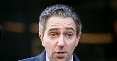 Refugees sleeping in tents in the snow 'not optimal', Simon Harris says