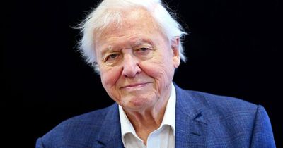 BBC denies claims it decided not to release David Attenborough episode amid 'Tory backlash fears'
