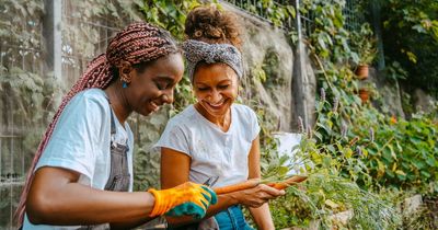 Take our gardening quiz to find out what type of gardener you are