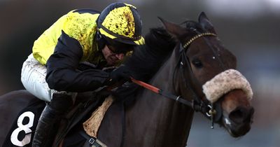 Horse Power: Hardy Du Seuil can win the Imperial Cup at Sandown