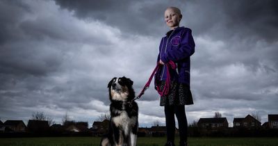 Eight-year-old girl battling Stage 4 cancer stars at Crufts