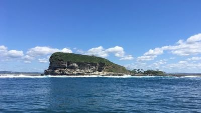 Calls for 'no-fishing' zone and new marine park around Mudjimba Island