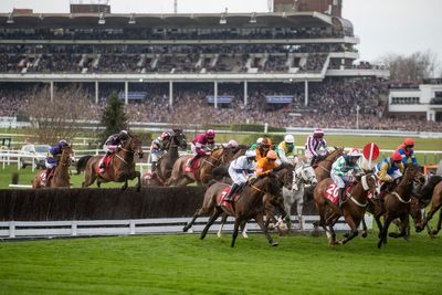 One in five Brits admit they are ‘fair weather’ horse racing fans