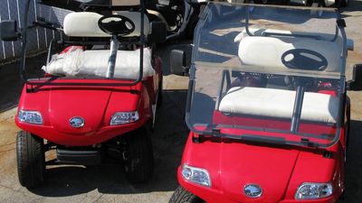 Drunken joyride on golf buggy stolen from Womadelaide leads to two arrests, police say