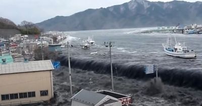 Terrifying moment Japan tsunami flattened entire towns and villages as it burst banks