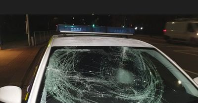 Anger as 'mindless' vandal smashes police car windscreen as officers help pensioner injured in fall