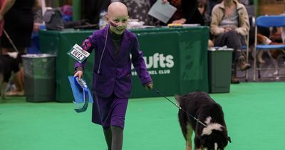 Cancer-battling eight-year-old seals brave second-place finish at Crufts