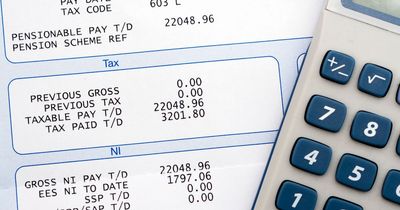 Workers in Ireland can now avail of €110 payment a day amid cost of living crisis