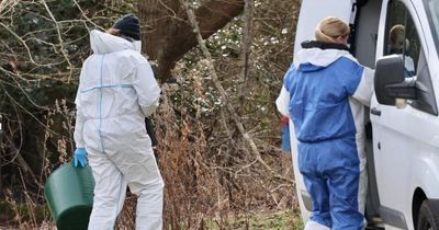 Forensics investigate 'human bones' found in wooded area near Morpeth school