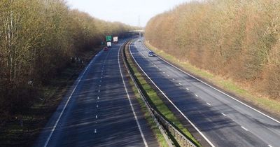 Woman and toddler killed in tragic crash with lorry 'after breaking down'