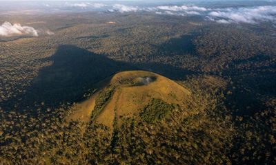 Queensland windfarm backed by Apple and Andrew Forrest sparks warning over impact on threatened species