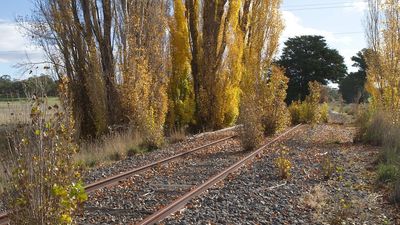 How reclaiming abandoned train lines can create better places to live