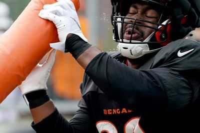 B.J. Hill campaigns for Bengals to re-sign free agent Germaine Pratt