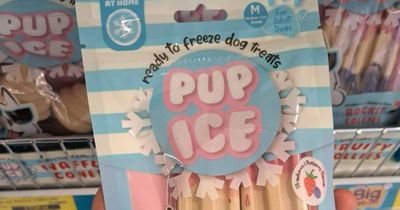 B&M dog ice lollies Twitter error confuses and amuses shoppers