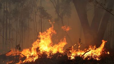 NT Police charge two men for allegedly lighting bushfire in Djukbinj National Park