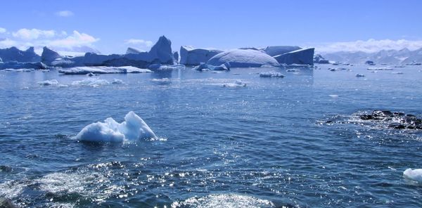 Cold and calculating: what the two different types of ice do to sea levels