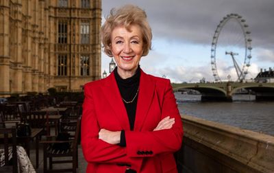 Andrea Leadsom: ‘I was determined to become prime minister and deliver Brexit myself’