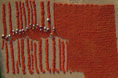 The big picture: spice on an industrial scale