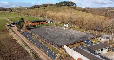 Northumberland riding school with spectacular views over Tyne Valley on the market