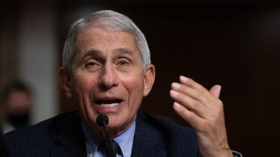 COVID-19 'not engineered as bio weapon', says Dr Anthony Fauci, as he hits back at his Republican critics