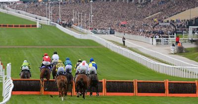 Bookmakers expecting a betting bonanza at 2023 Cheltenham Festival