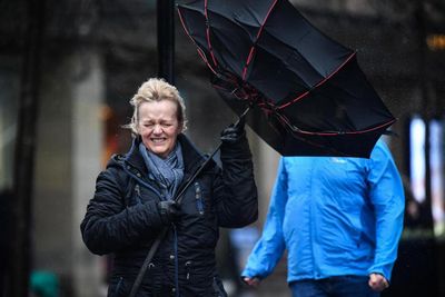 Study claims windy weather on referendum day boosts No vote