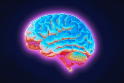 Why Managing Emotions May Protect Your Brain from Old Age